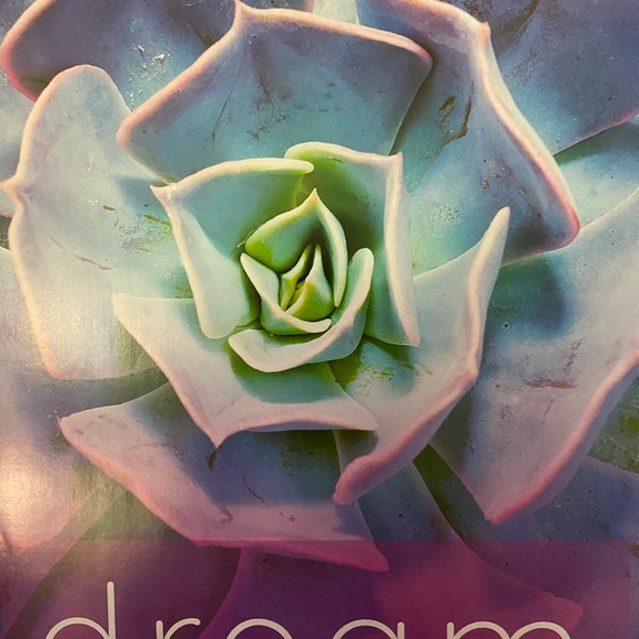 Meet your Posher, Sonya - Picture 7 of 9